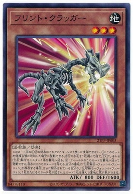 21PP-JP005 �ե��ȡ�����å���