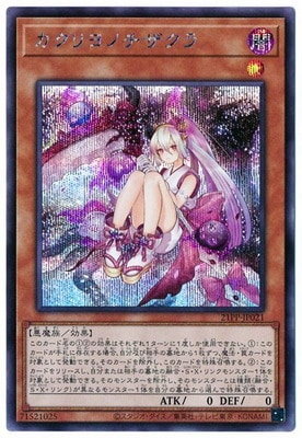 21PP-JP021 �������Υ�������ڥ�������åȥ쥢��