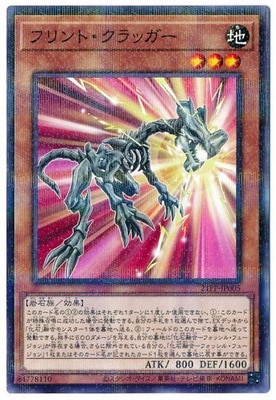 21PP-JP005 �ե��ȡ�����å����ڥΡ��ޥ�ѥ����