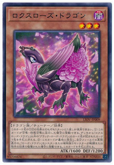 ��11��/04��/LIOV-JP009 ���������������ɥ饴�� R