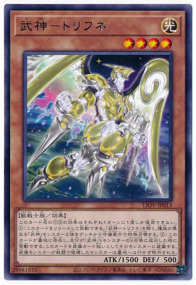 ��11��/04��/LIOV-JP013 ����ݥȥ�ե� R