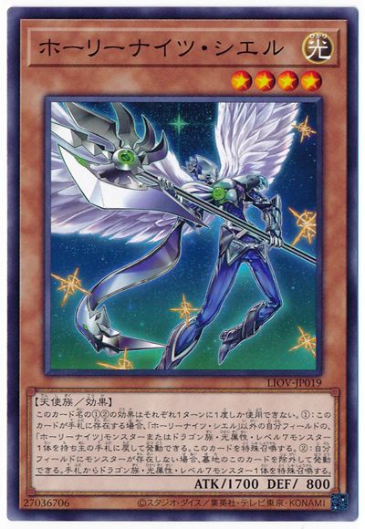 ��11��/04��/LIOV-JP019 �ۡ��꡼�ʥ��ġ�������