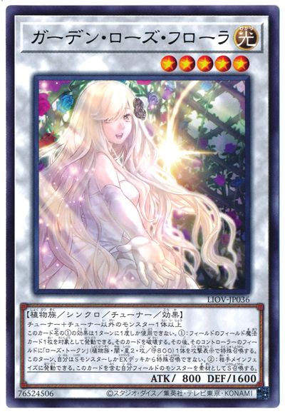 ��11��/04��/LIOV-JP036 �����ǥ󡦥��������ե����� R