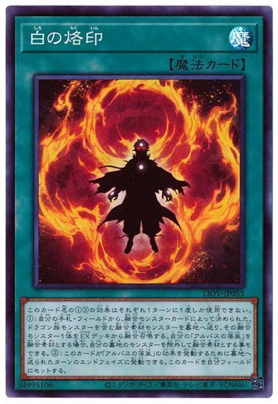 ��11��/04��/LIOV-JP055 �������ڥ����ѡ��쥢��