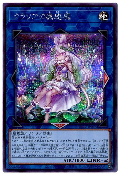 ��11��/04��/LIOV-JP046 ����ꥢ�������ڥ�������åȥ쥢��