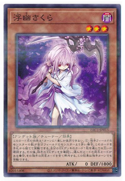 ��11��/PAC1-JP015 ��ͩ������ڥΡ��ޥ�ѥ����