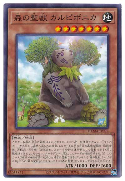 ��11��/05��/DAMA-JP022 �������� ����ԥݥ˥�