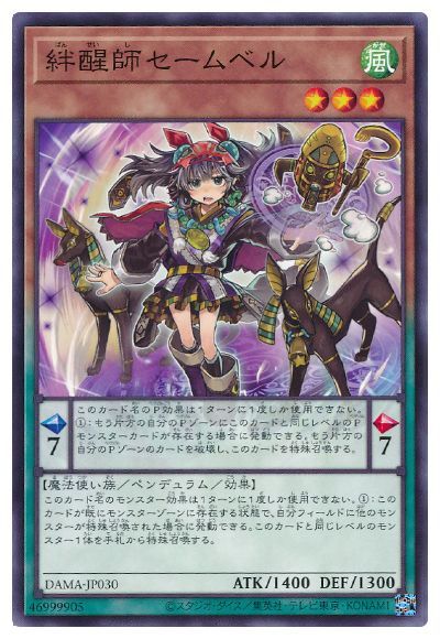 ��11��/05��/DAMA-JP030 ��ûե�����٥� NR