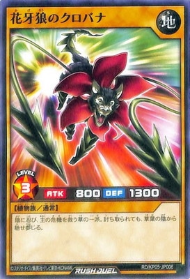 RD/KP05-JP006 ֲϵΥХ