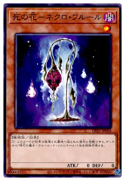 11/DP25-JP028 β֡ݥͥե롼