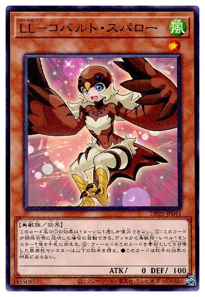 11/DP25-JP041 ̡̣ݥХȡѥ