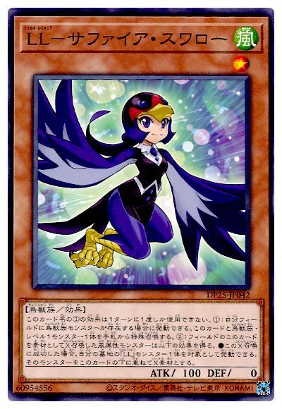 11/DP25-JP042 ̡̣ݥե