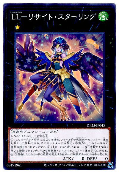 ��11��/DP25-JP045 �̡̣ݥꥵ���ȡ����������