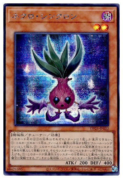 11/DP25-JP022 ͥ󥯥ڥåȥ쥢