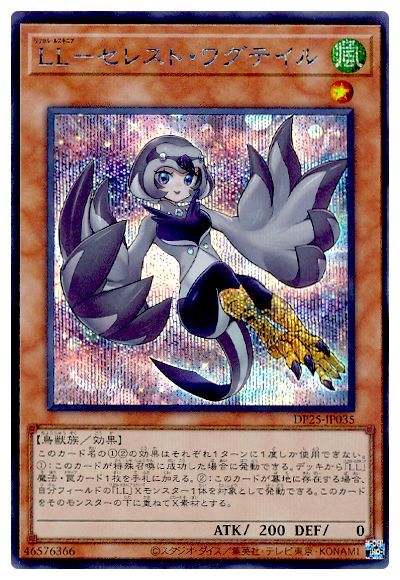 11/DP25-JP035 ̡̣ݥ쥹ȡ殺ƥڥåȥ쥢