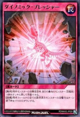 RD/MAX2-JP020 Υߥåץå㡼 R