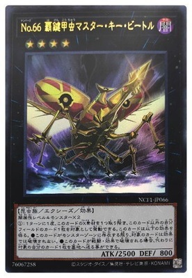��11��/NCF1-JP066 �Σ�.���� �Ƹ�����ޥ��������������ӡ��ȥ�ڥ���ȥ�쥢��