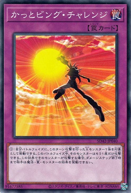 ��11��/SD42-JP040 ���äȥӥ󥰡�������