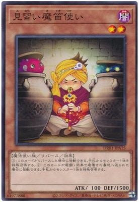 ��11��/DR01-JPA15 ��������ū�Ȥ�