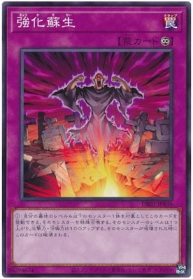 ��11��/DR01-JPB30 ��������