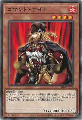 ��11��/DR01-JPC09 ���ޥ�ɡ��ʥ���