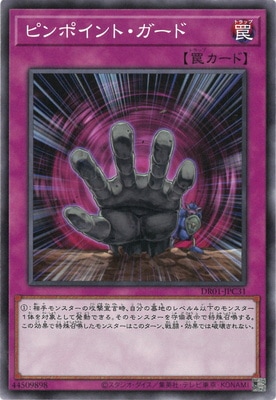 ��11��/DR01-JPC31 �ԥ�ݥ���ȡ�������