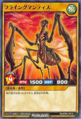 RD/KP06-JP010 ե饤󥰥ޥƥ R