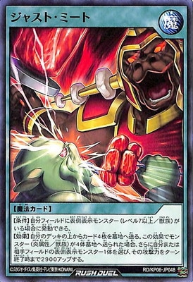 RD/KP06-JP048 㥹ȡߡ