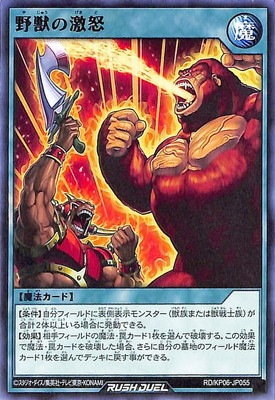 RD/KP06-JP055 ��äη��� R