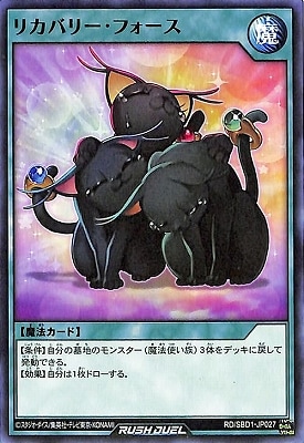 RD/SBD1-JP027 ꥫХ꡼ե