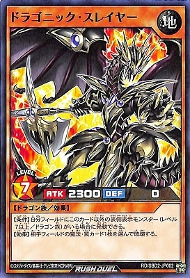 RD/SBD2-JP002 ɥ饴˥å쥤䡼