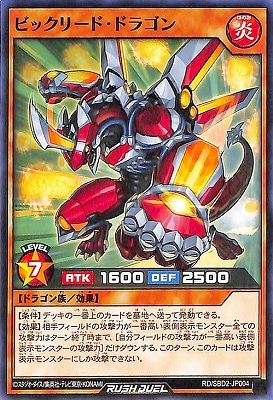 RD/SBD2-JP004 ӥå꡼ɡɥ饴