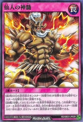 RD/SBD3-JP029 ��ͤο���