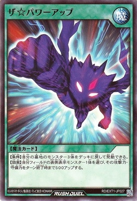 RD/EXT01-JP027 ѥå