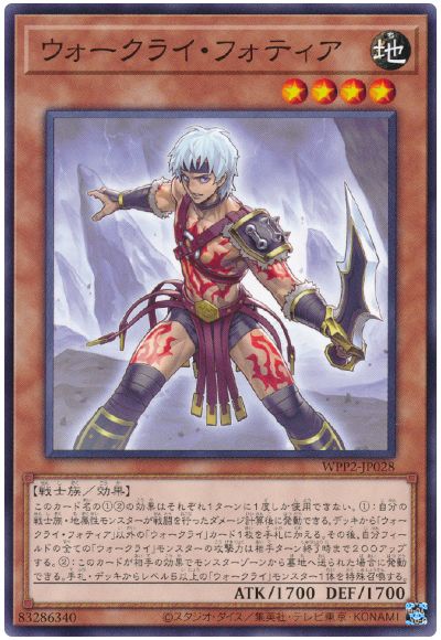 11/WPP2-JP028 饤եƥ