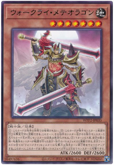 11/WPP2-JP035 饤ƥ饴 R