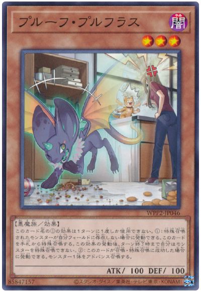 11/WPP2-JP046 ץ롼աץե饹