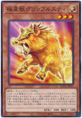 11/07/BACH-JP011 å֥륹ƥ