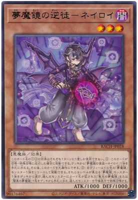 11/07/BACH-JP018 ̴ε̡ݥͥ R