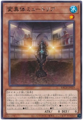 11/07/BACH-JP019 ѰΥߥ塼ȥꥢ R