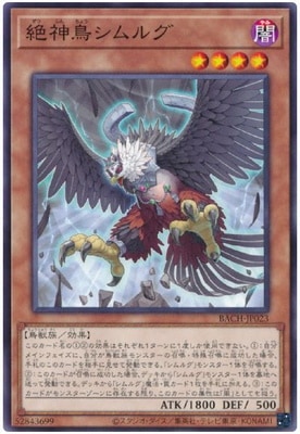 11/07/BACH-JP023 Ļ륰