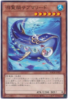 11/07/BACH-JP027 ֥ޥ꡼