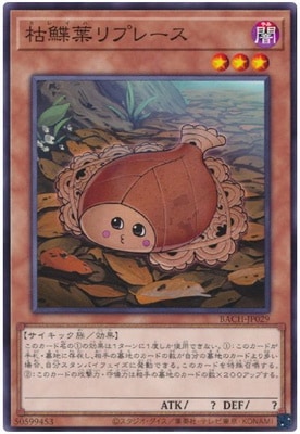 11/07/BACH-JP029 եץ졼