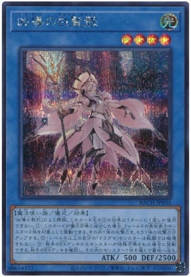 ��11��/07��/BACH-JP035 ��Ƴ���������ڥ�������åȥ쥢��