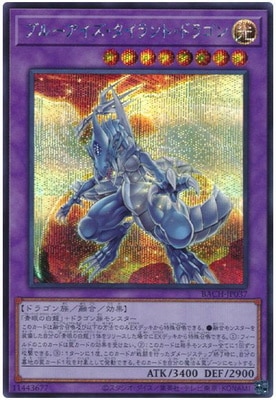 ��11��/07��/BACH-JP037 �֥롼���������������ȡ��ɥ饴��ڥ�������åȥ쥢��