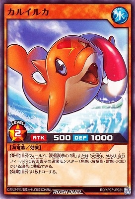 RD/KP07-JP021 ���륤�륫