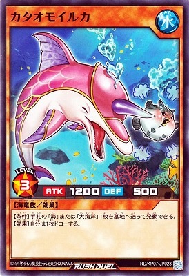 RD/KP07-JP023 �������⥤�륫