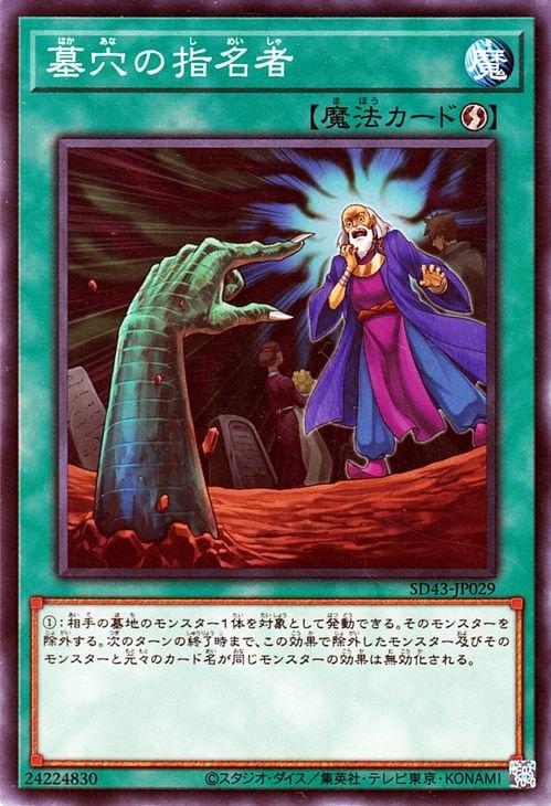 ��11��/SD43-JP029 ���λ�̾��