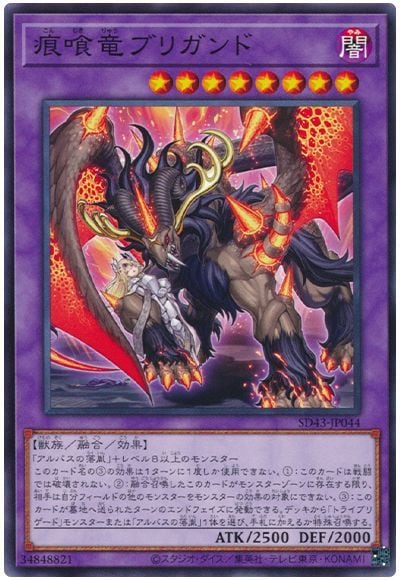 ��11��/SD43-JP044 ����ε�֥ꥬ���