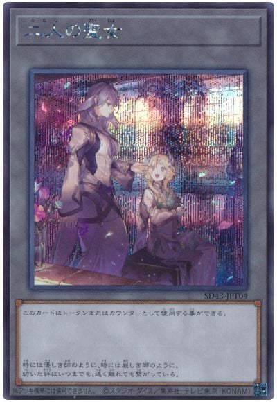 ��11��/SD43-JPT04 ��ͤ������ڥ�������åȥ쥢��